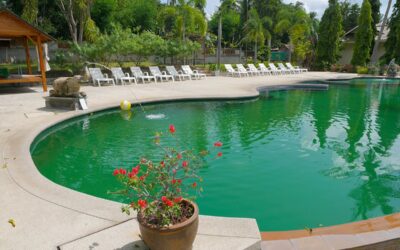 Why is my swimming pool green?