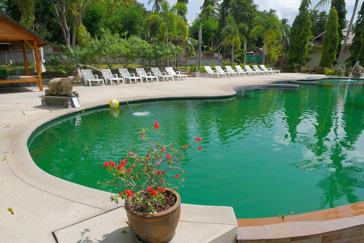 a green swimming pool